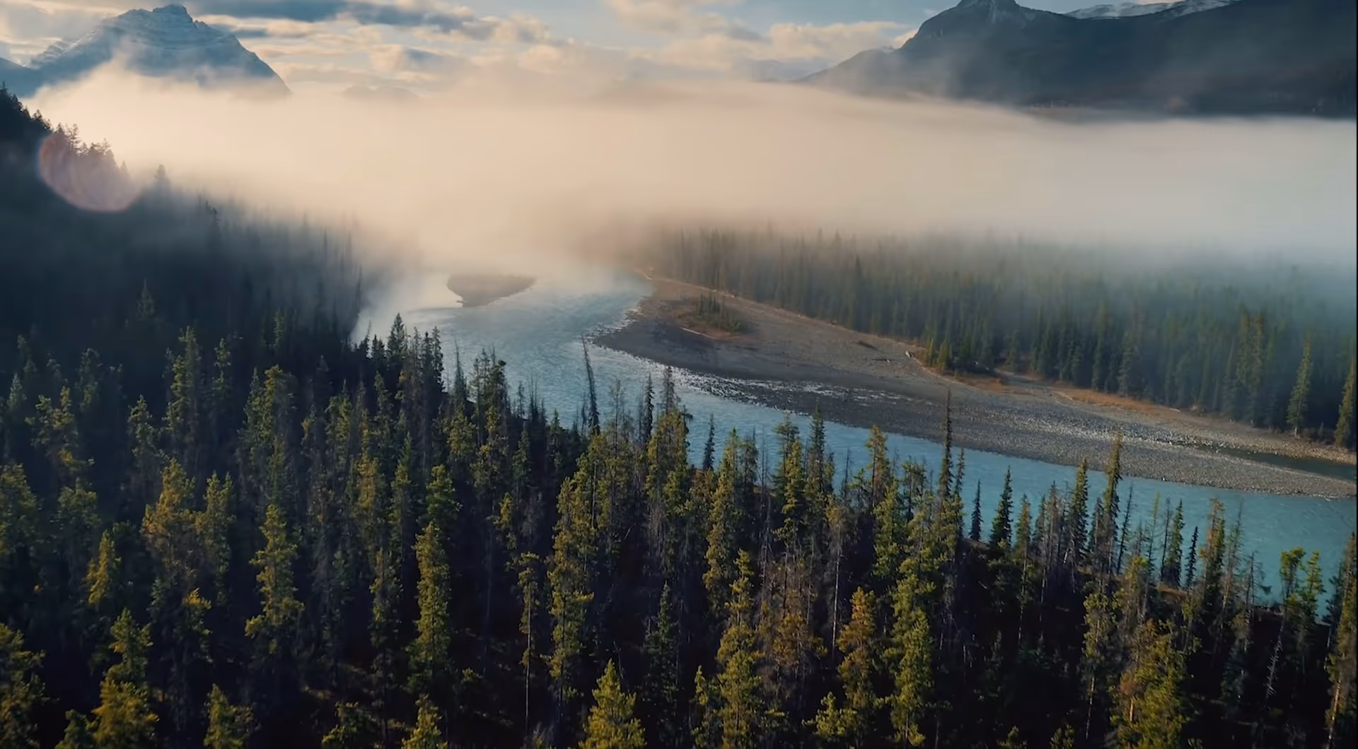 People who moved to Canada with Wild Mountain Immigration