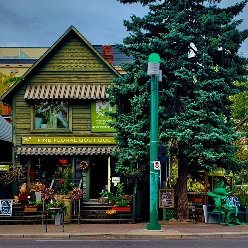 Calgary neighbourhood flower shop