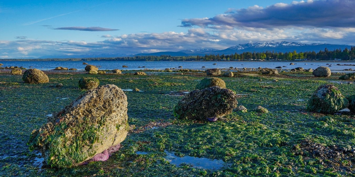 Rocky shoreline and tidal pools with distant mountains in Campbell River, highlighting its appeal as one of the best places to live on Vancouver Island