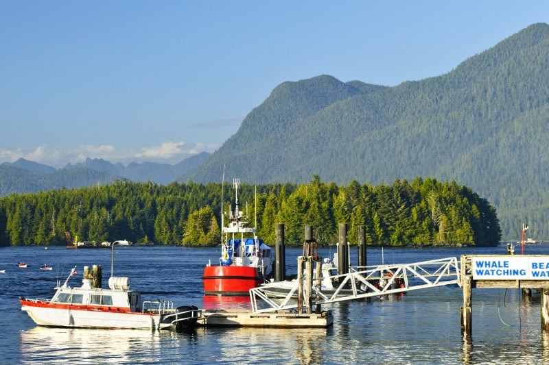 Discover the Best Places to Live on Vancouver Island - Wild Mountain Immigration