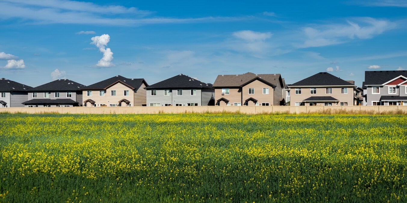 New suburban homes in Edmonton with a field of yellow flowers in the foreground