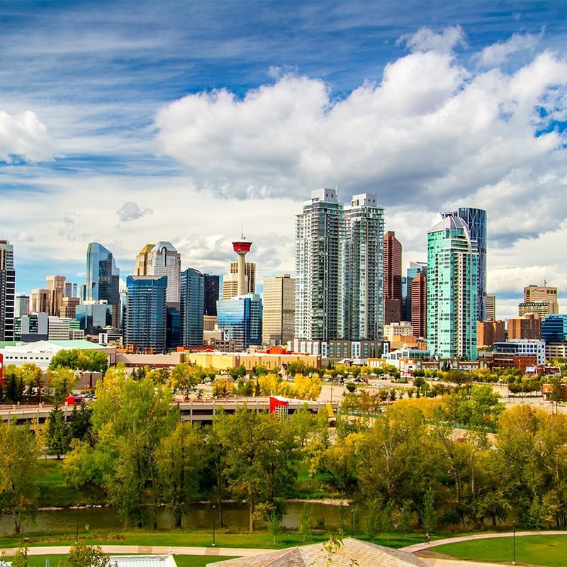 Discover the Best Schools in Calgary for a Quality Education - Wild Mountain Immigration