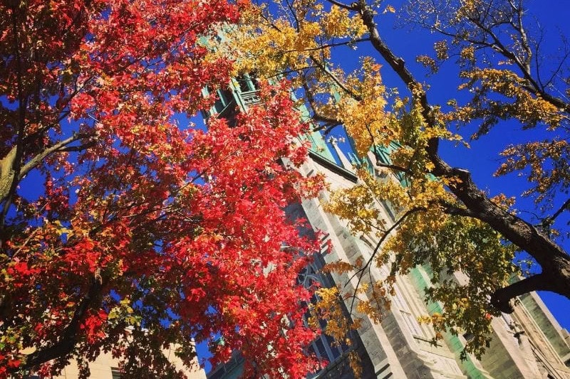 A beautiful church tower surrounded by vibrant autumn leaves in the Montreal vs Toronto, symbolizing the city's unique blend of history and modernity.