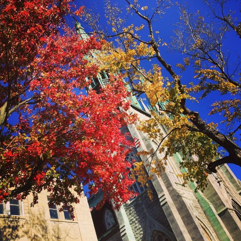 A beautiful church tower surrounded by vibrant autumn leaves in the Montreal vs Toronto, symbolizing the city's unique blend of history and modernity.