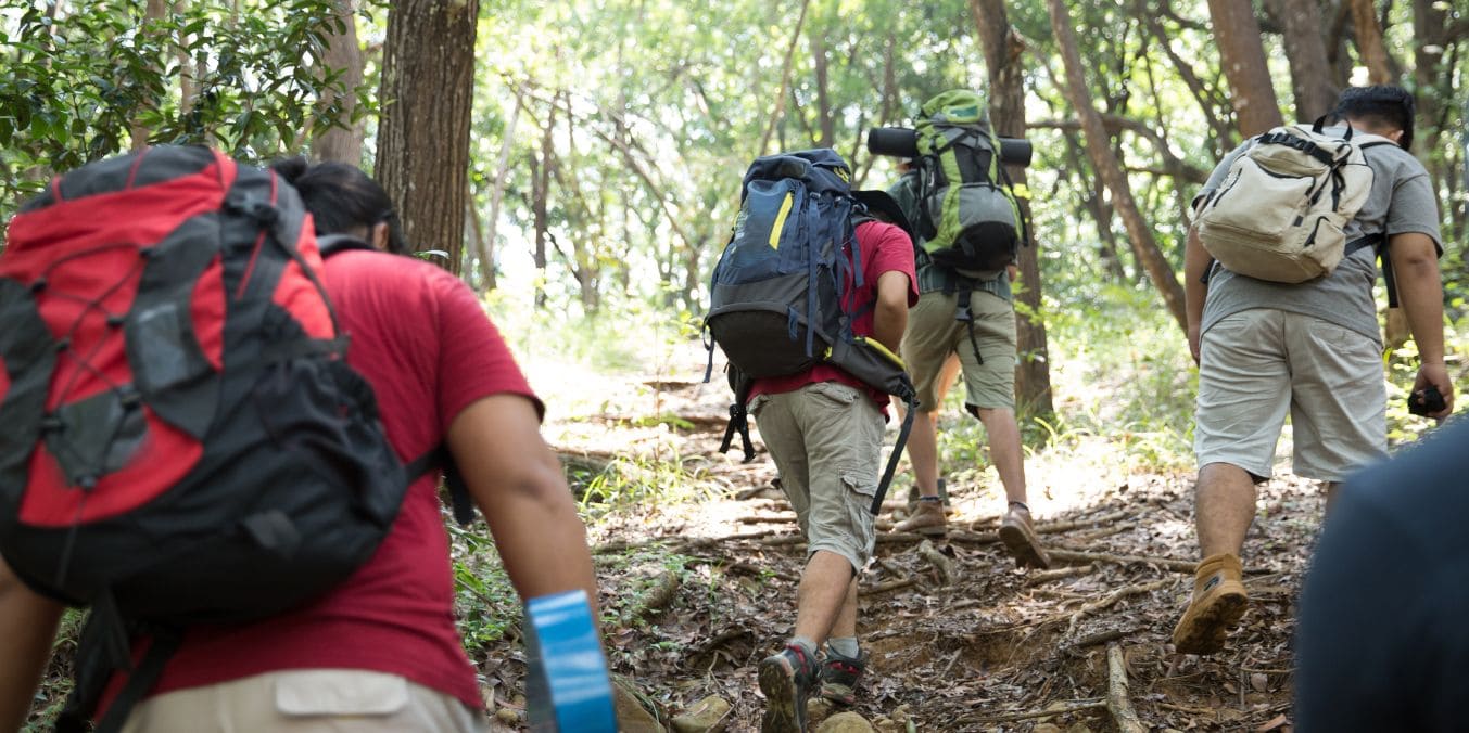 A group of hikers with backpacks walking through a lush forest, illustrating the recreational activities available in Montreal vs Toronto.