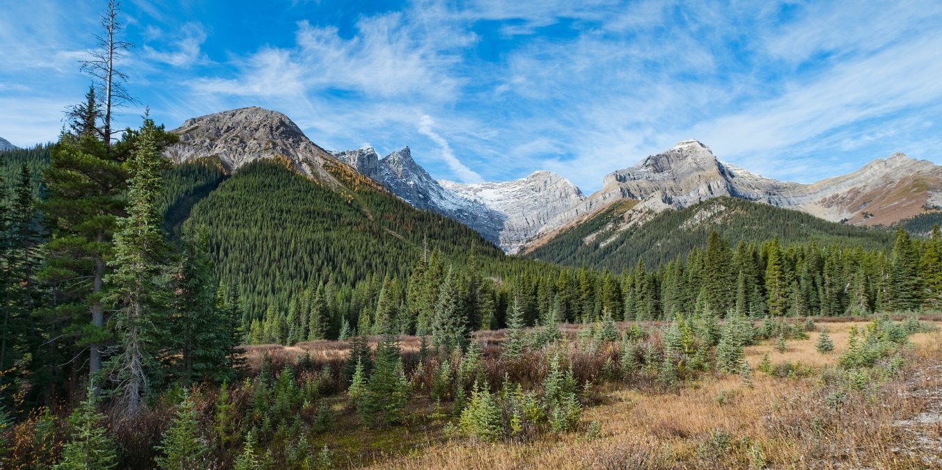 Rocky Mountains and forests representing outdoor adventures and green spaces near Calgary